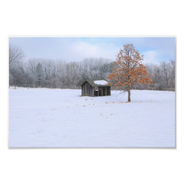 Snow Covered Paddock Fotodruck (Vorne)
