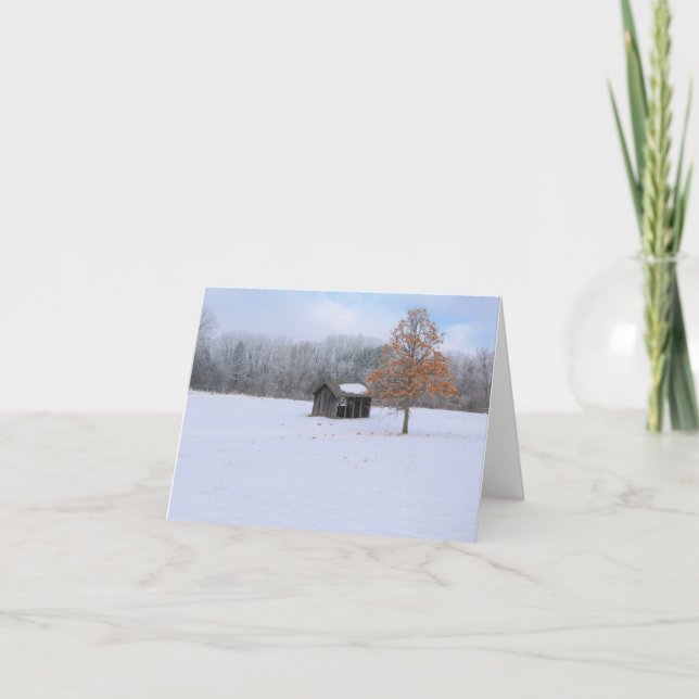 Snow Covered Paddock Karte (Vorderseite)