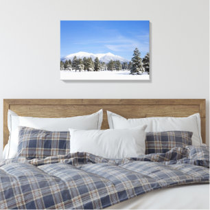 Snow Covered Prairie Pines und San Francisco Peaks Leinwanddruck