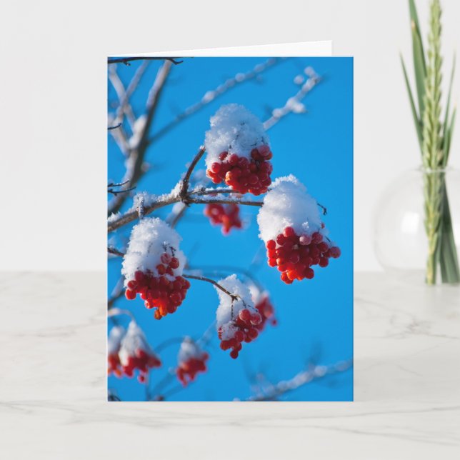 Snow covered rowan berries karte (Vorderseite)