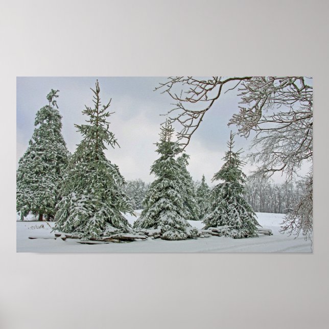 Snow Covered Trees Poster (Vorne)