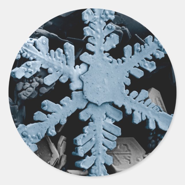 Snow Crystal 2 Runder Aufkleber (Vorderseite)
