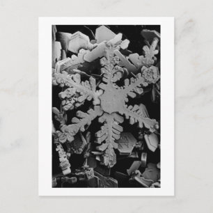 Snow Crystal Postkarte