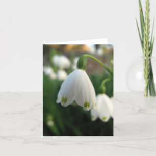 Snow Drop Flower Note card Karte