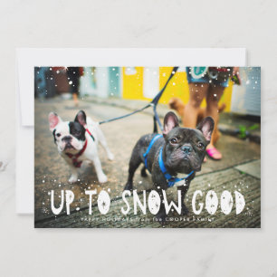 Snow Good Carte de Noël pour animaux de compagni