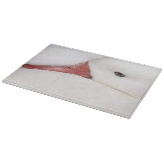 Snow Goose Chen caerulescens Schneidebrett (Ecke)