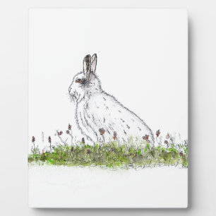 Snow Hare Fotoplatte