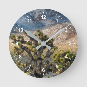 Snow In Death Valley Runde Wanduhr