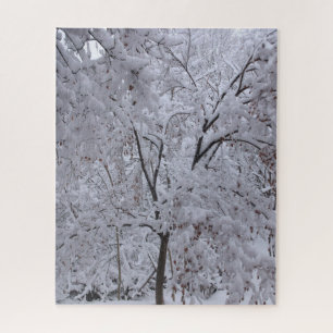 Snow-Laden Bäume
