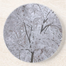 Snow-Laden Bäume