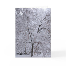 Snow-Laden Bäume