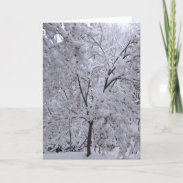 Snow-Laden Bäume Karte