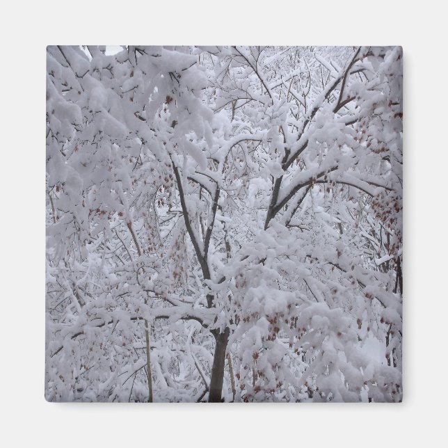 Snow-Laden Bäume Magnet (Vorne)