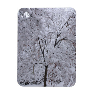 Snow-Laden Bäume Magnet