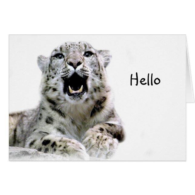 Snow Leopard (Vorderseite (Horizontal))