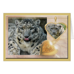 snow-leopard-00457