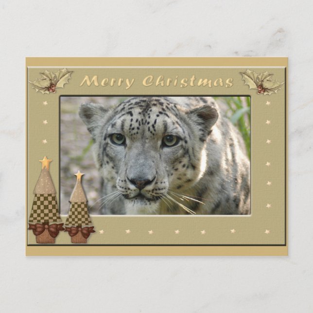 Snow Leopard-BCR-c-158 copy Postkarte (Vorderseite)
