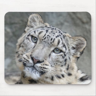 Snow Leopard Closeup Face Mousepad