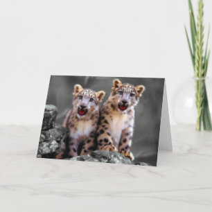 Snow Leopard Cubs Karte