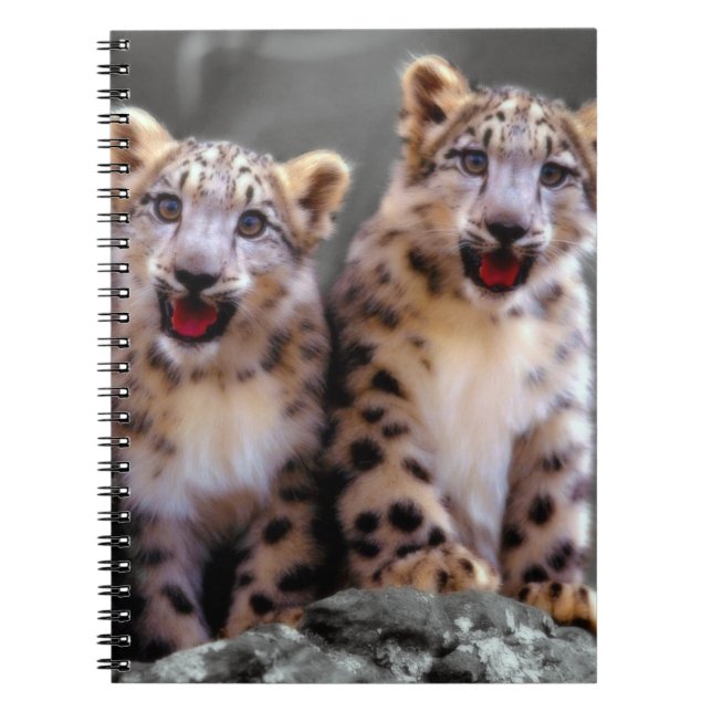 Snow Leopard Cubs Notizblock (Vorderseite)