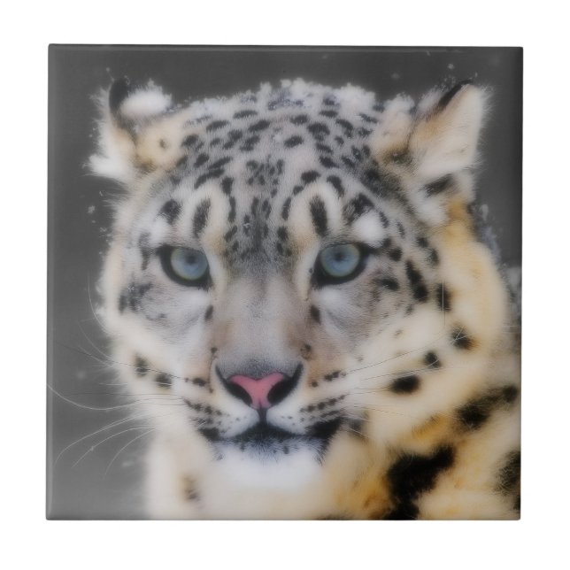 Snow Leopard Fliese (Vorderseite)