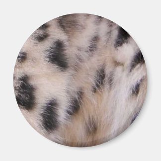Snow Leopard Fur Magnet