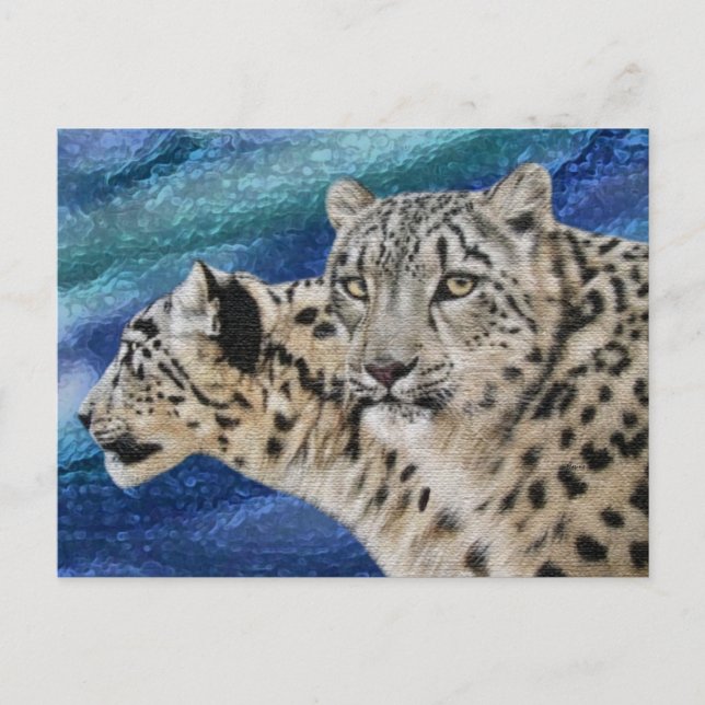 Snow Leopard Habitat Postkarten (Vorderseite)