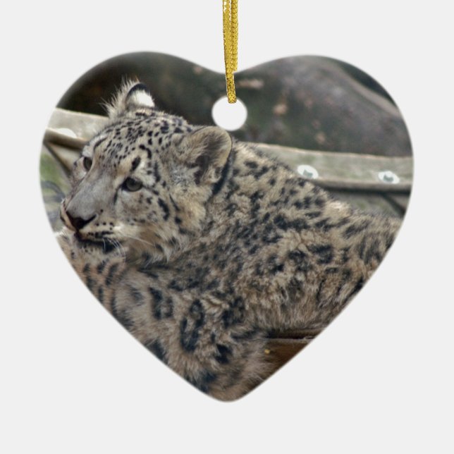 Snow Leopard Keramikornament (Vorne)
