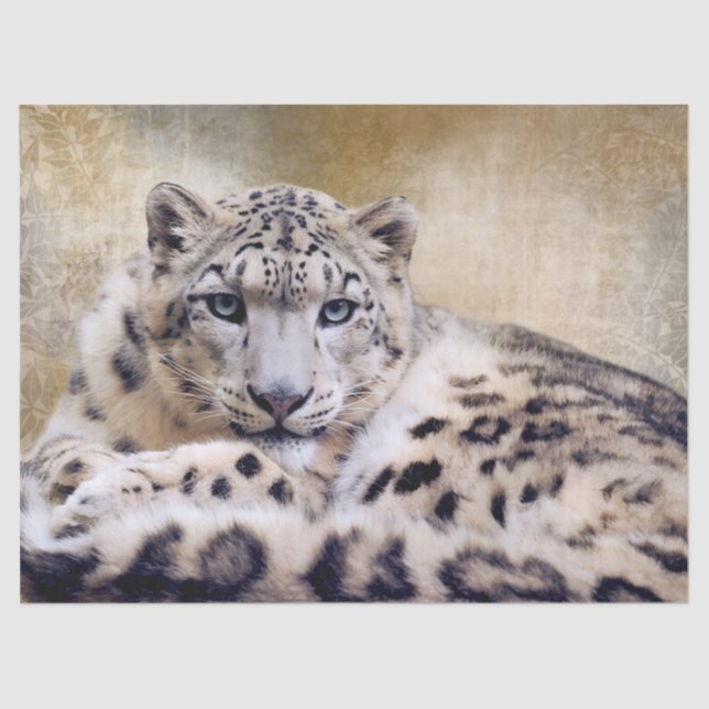 Snow Leopard Lying Down Seidenpapier (Vorderseite)