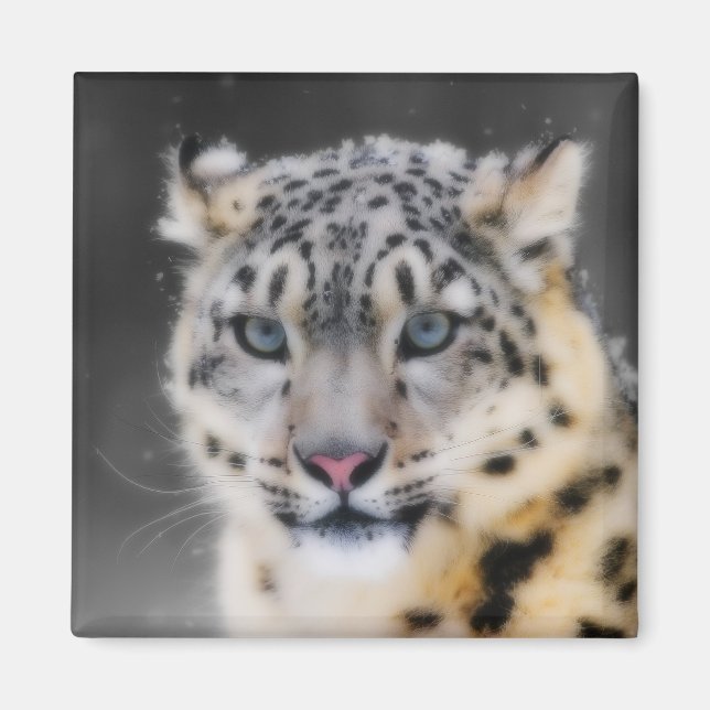 Snow Leopard Magnet (Vorne)