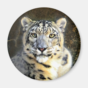 Snow Leopard Magnet