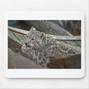 Snow Leopard Mousepad
