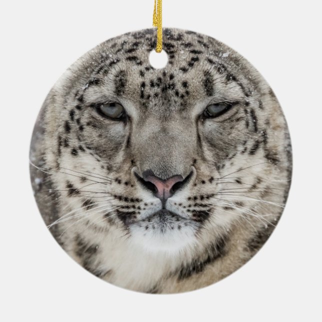 Snow Leopard Portrait Keramik Ornament (Hinten)