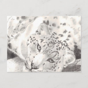 Snow Leopard Postkarte