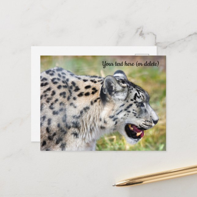 Snow Leopard Postkarte (Vorderseite/Rückseite Beispiel)