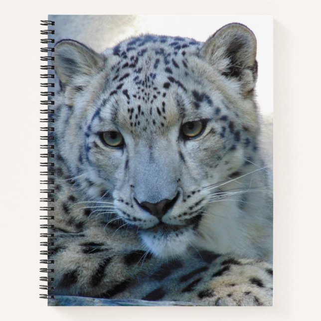 Snow Leopard-Puzzle Spiral Notebook Notizbuch (Vorderseite)