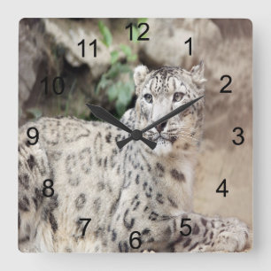 Snow Leopard Quadratische Wanduhr