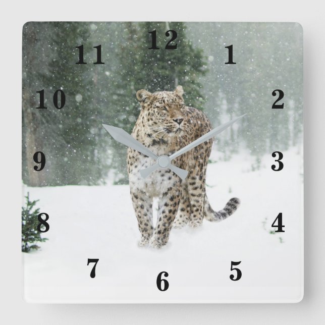Snow Leopard Quadratische Wanduhr (Vorderseite)