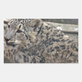 Snow Leopard Rechteckiger Aufkleber