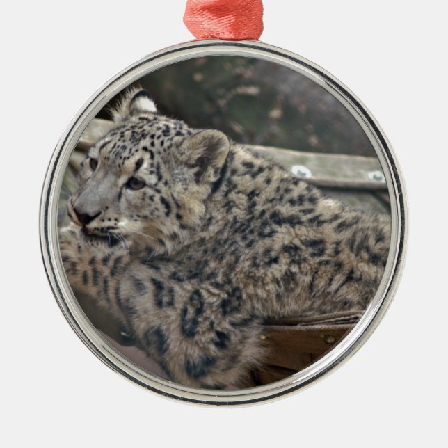Snow Leopard Silbernes Ornament (Vorne)