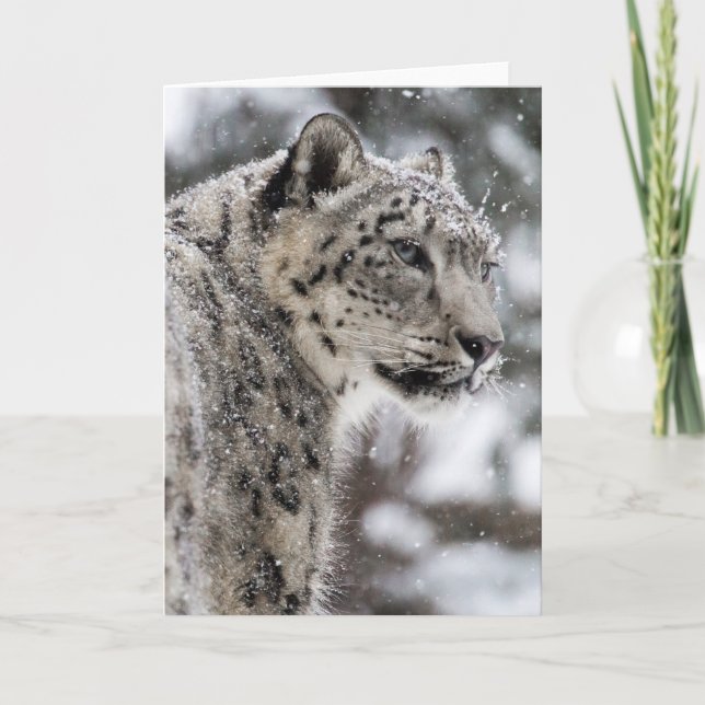 Snow Leopard steht im Schnee Feiertagskarte (Vorderseite)