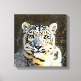 Snow Leopard Wrapped Canvas Leinwanddruck