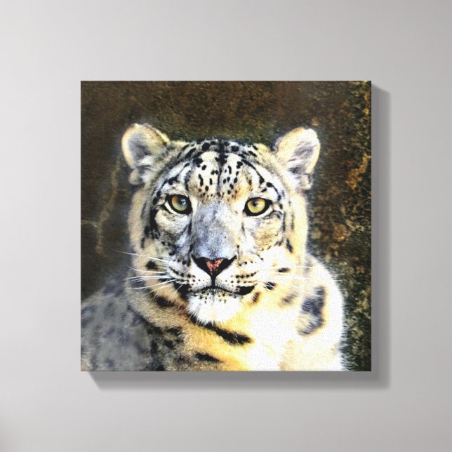 Snow Leopard Wrapped Canvas Leinwanddruck (Vorderseite)