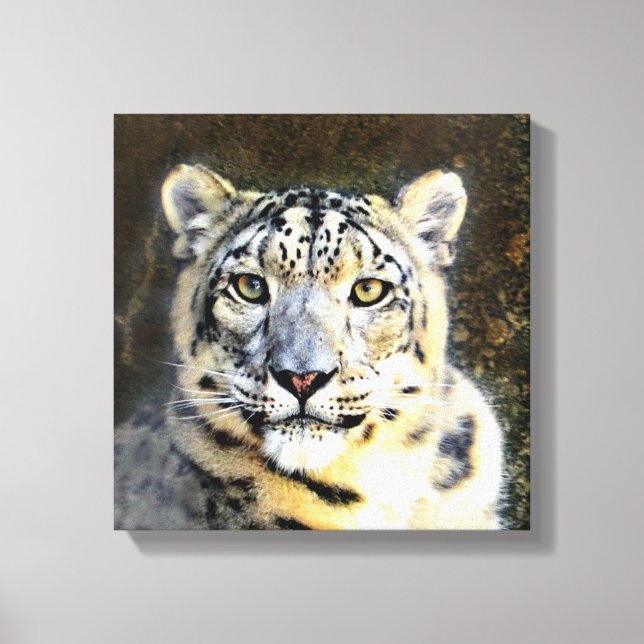 Snow Leopard Wrapped Canvas Leinwanddruck (Vorderseite)