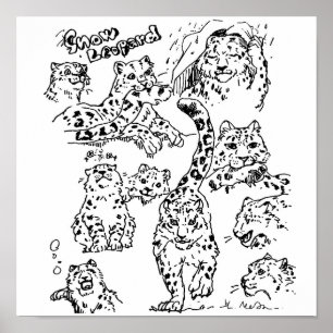 Snow Leopards Zeichnend Poster #1