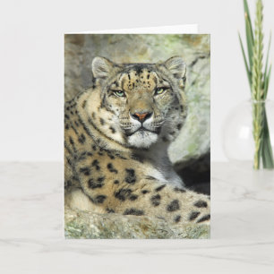 Snow Lepord Portrait Card Karte