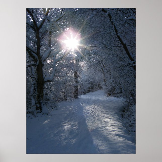 Snow & Light Poster (Vorne)