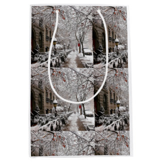 Snow Magic am 23. St NYC Mittlere Geschenktüte