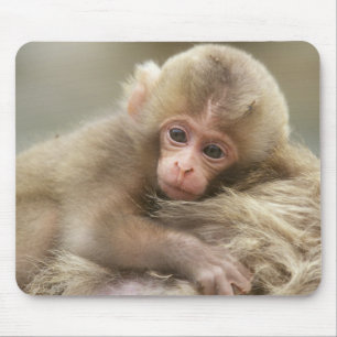 Snow Monkey Baby, Jigokudani, Nagano, Japan 2 Mousepad