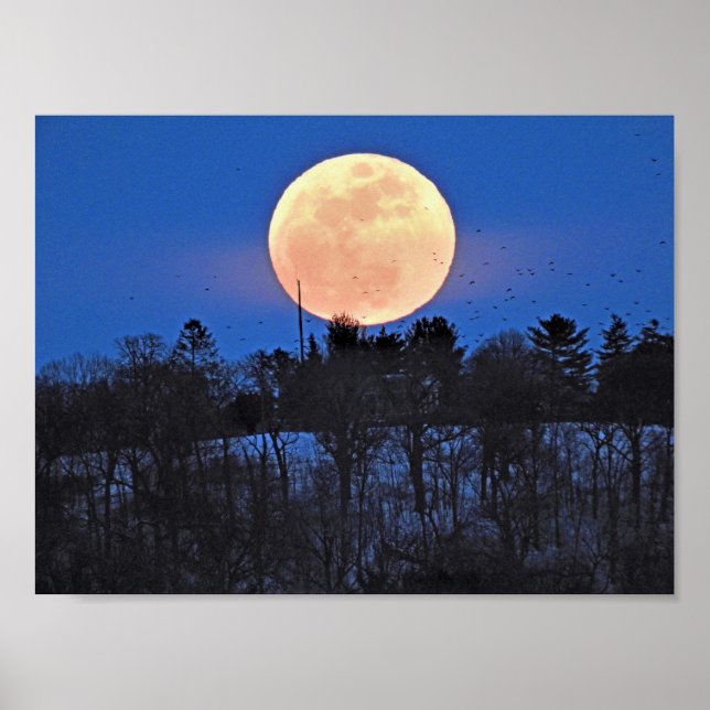 Snow Moon Rising Poster (Vorne)